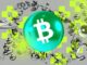 Bitcoin Cash (BCH) Sees Meteoric 90% Rally, But Correction Looms Ahead