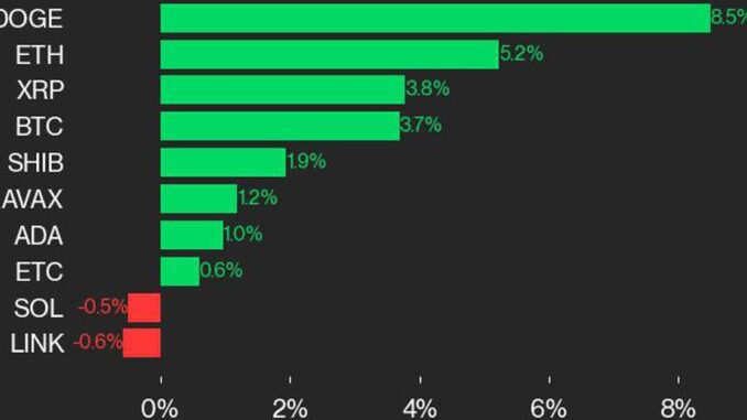 cd20 laggards